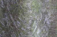 Hurgill fibreglass roof work